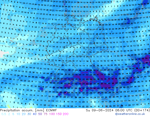 Toplam Yağış ECMWF Paz 09.06.2024 06 UTC