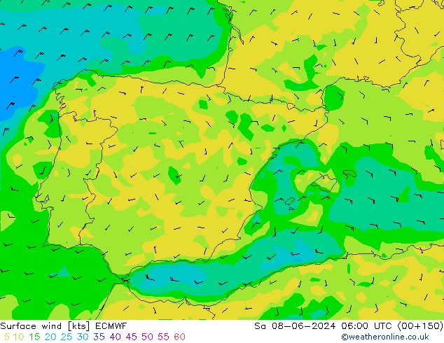 Surface wind ECMWF So 08.06.2024 06 UTC
