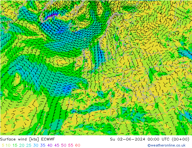 Rüzgar 10 m ECMWF Paz 02.06.2024 00 UTC