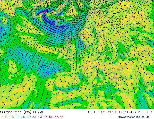 Bodenwind ECMWF So 02.06.2024 12 UTC