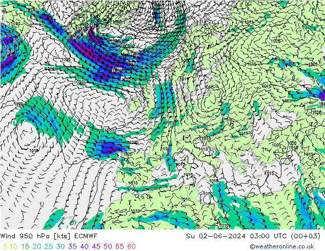 Vento 950 hPa ECMWF dom 02.06.2024 03 UTC