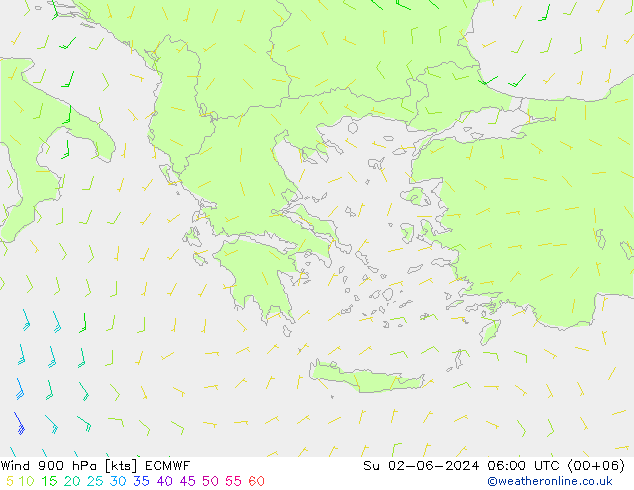 Rüzgar 900 hPa ECMWF Paz 02.06.2024 06 UTC