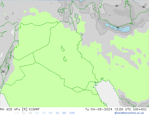 925 hPa Nispi Nem ECMWF Sa 04.06.2024 12 UTC