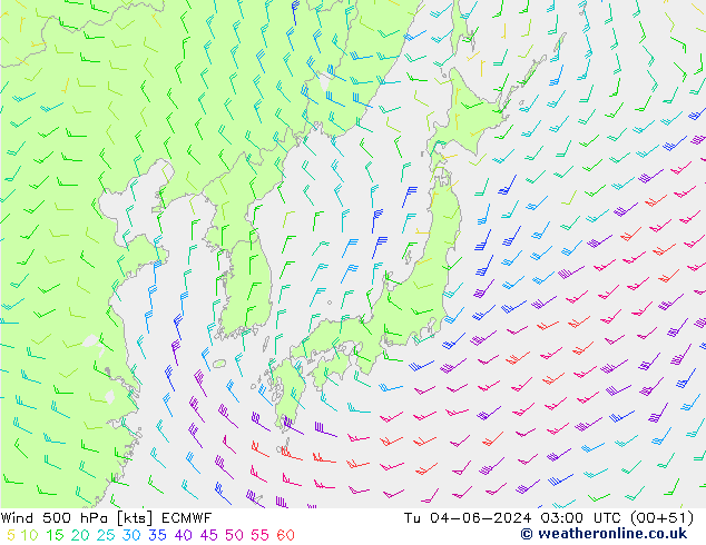 Rüzgar 500 hPa ECMWF Sa 04.06.2024 03 UTC