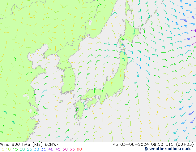 Wind 900 hPa ECMWF Po 03.06.2024 09 UTC