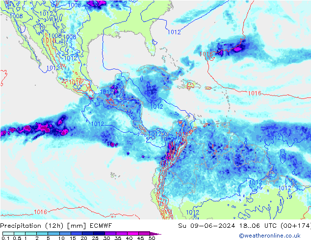 Yağış (12h) ECMWF Paz 09.06.2024 06 UTC