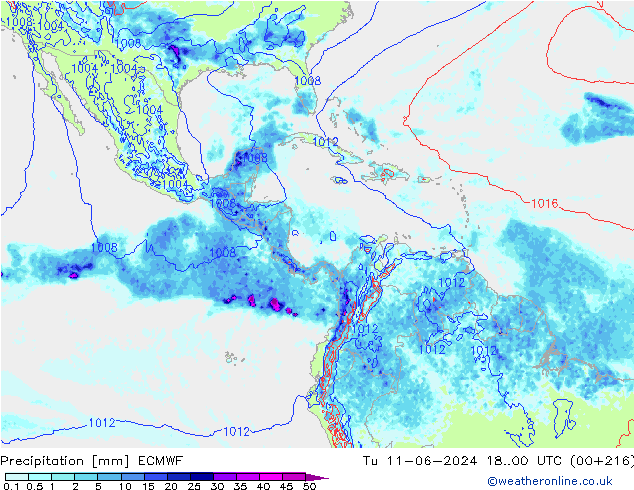 Precipitation ECMWF Tu 11.06.2024 00 UTC