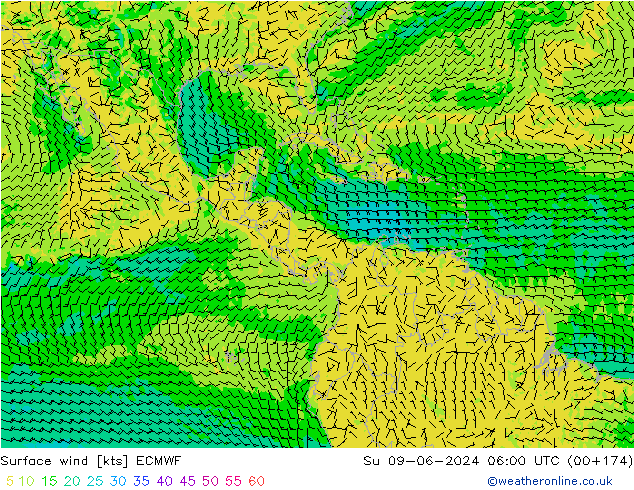 Surface wind ECMWF Ne 09.06.2024 06 UTC