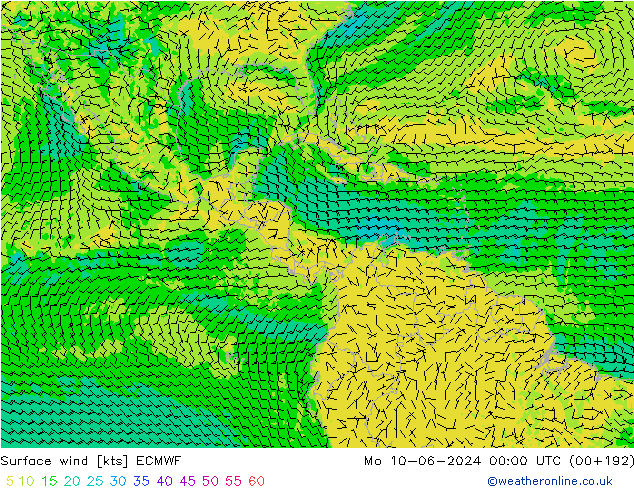 Surface wind ECMWF Mo 10.06.2024 00 UTC