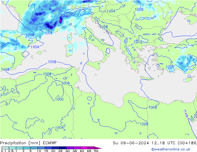 Neerslag ECMWF zo 09.06.2024 18 UTC
