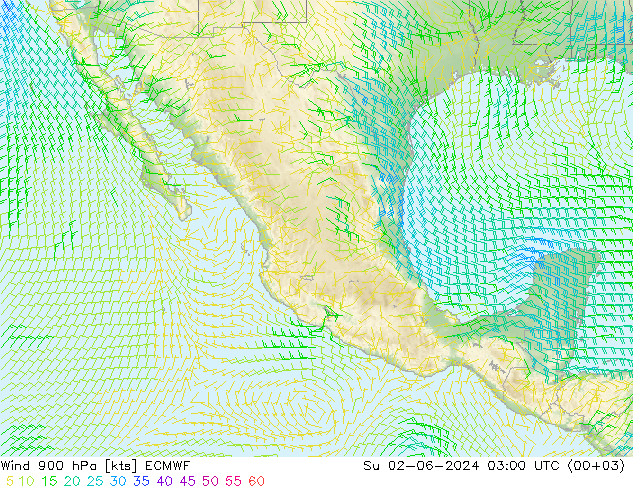 Viento 900 hPa ECMWF dom 02.06.2024 03 UTC