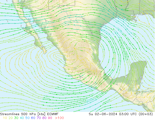 Linha de corrente 500 hPa ECMWF Dom 02.06.2024 03 UTC