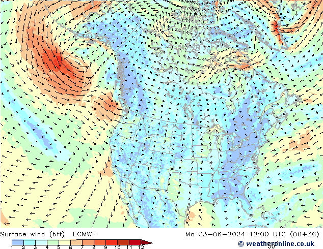 Bodenwind (bft) ECMWF Mo 03.06.2024 12 UTC