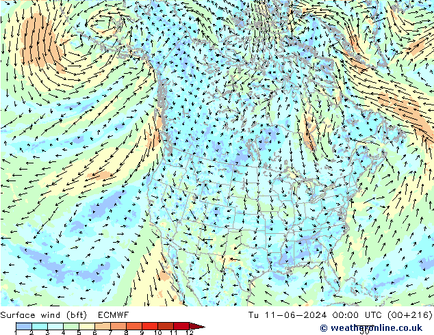 Surface wind (bft) ECMWF Út 11.06.2024 00 UTC