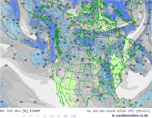 RH 700 гПа ECMWF Вс 02.06.2024 03 UTC