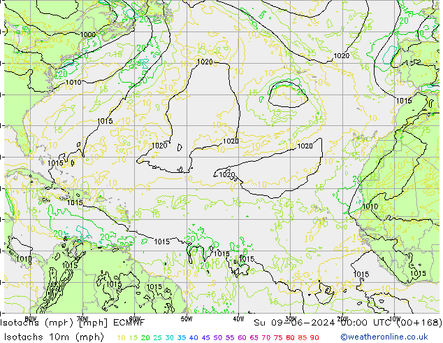 Eşrüzgar Hızları mph ECMWF Paz 09.06.2024 00 UTC