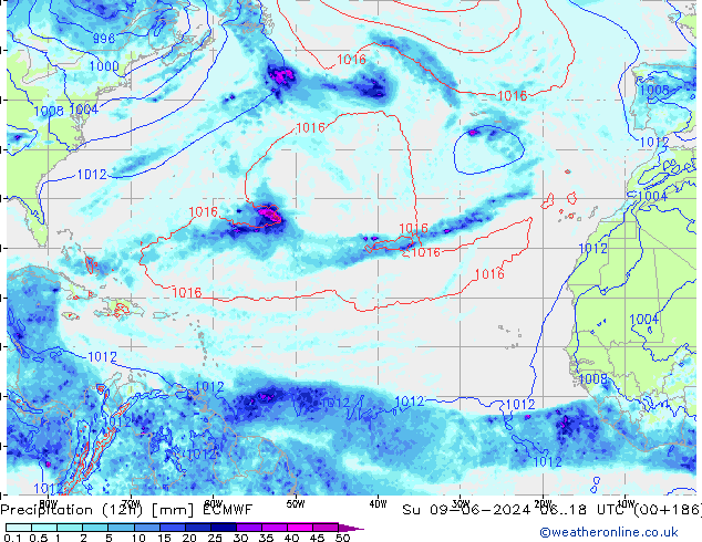 Precipitation (12h) ECMWF Su 09.06.2024 18 UTC