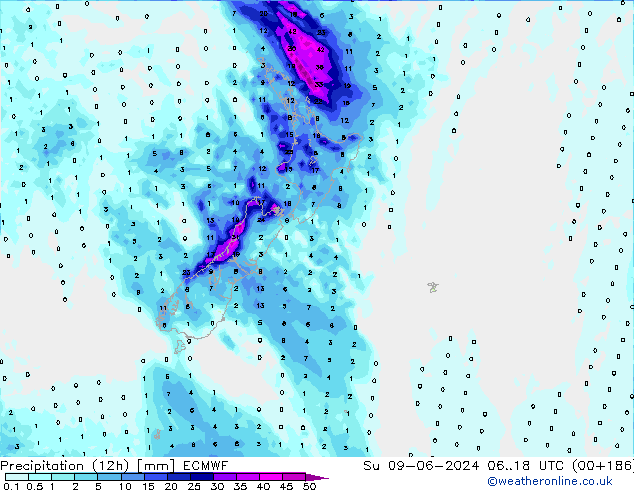 Totale neerslag (12h) ECMWF zo 09.06.2024 18 UTC