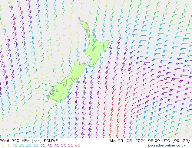 Wind 900 hPa ECMWF Po 03.06.2024 06 UTC