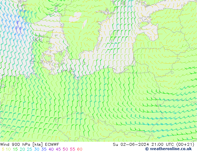 Wind 900 hPa ECMWF Su 02.06.2024 21 UTC