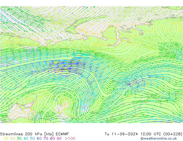 Linea di flusso 200 hPa ECMWF mar 11.06.2024 12 UTC