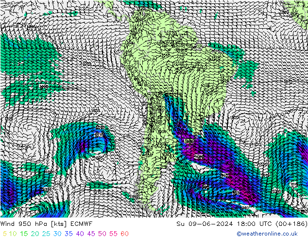 Vento 950 hPa ECMWF dom 09.06.2024 18 UTC