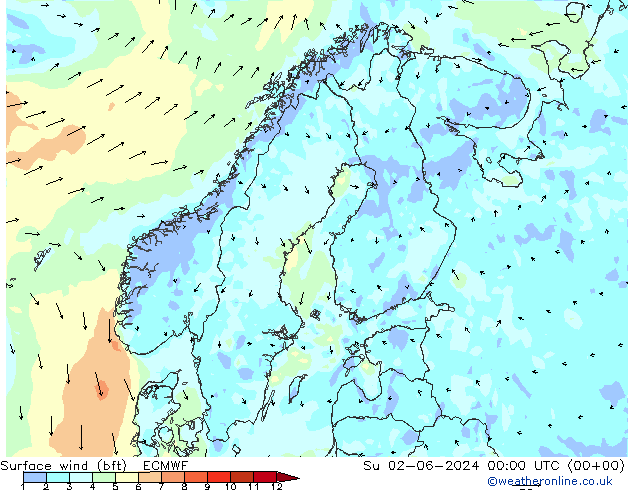 Surface wind (bft) ECMWF Su 02.06.2024 00 UTC