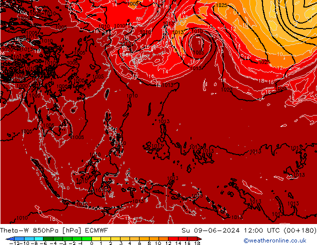 Theta-W 850hPa ECMWF zo 09.06.2024 12 UTC