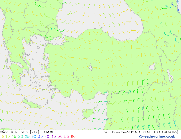 Rüzgar 900 hPa ECMWF Paz 02.06.2024 03 UTC