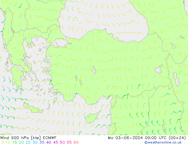 Wind 900 hPa ECMWF Mo 03.06.2024 00 UTC