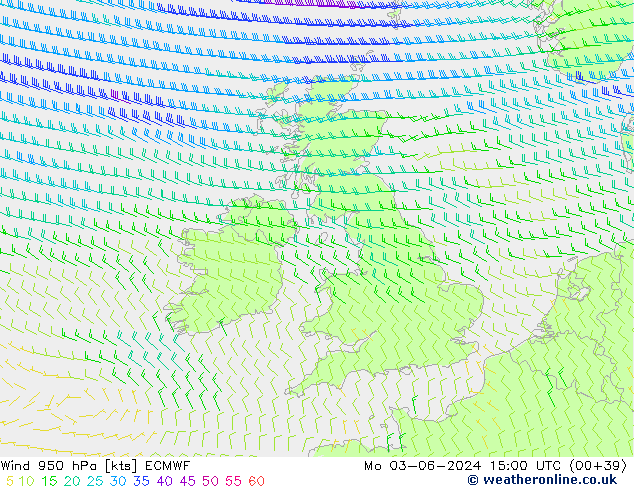 ветер 950 гПа ECMWF пн 03.06.2024 15 UTC