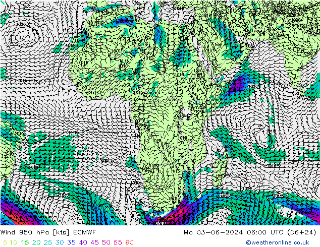 ветер 950 гПа ECMWF пн 03.06.2024 06 UTC