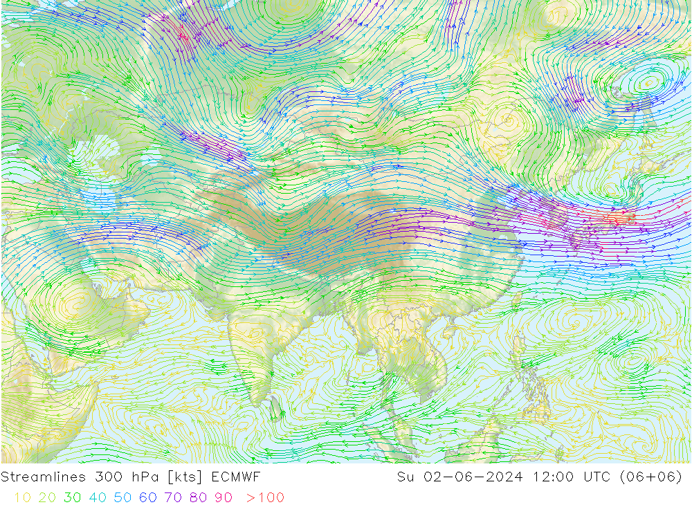 Linea di flusso 300 hPa ECMWF dom 02.06.2024 12 UTC