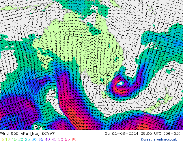 Wind 900 hPa ECMWF zo 02.06.2024 09 UTC