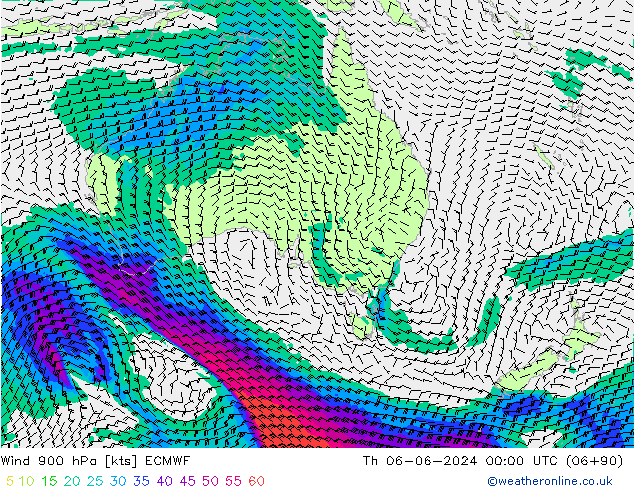 ветер 900 гПа ECMWF чт 06.06.2024 00 UTC