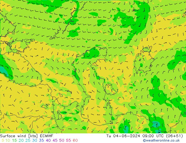 Bodenwind ECMWF Di 04.06.2024 09 UTC