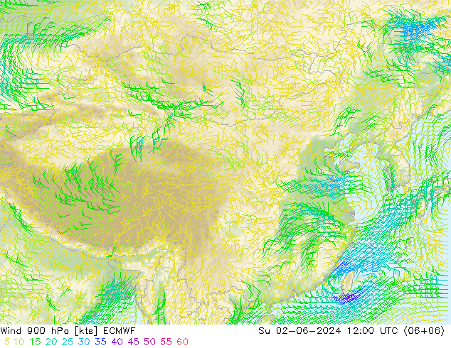 风 900 hPa ECMWF 星期日 02.06.2024 12 UTC