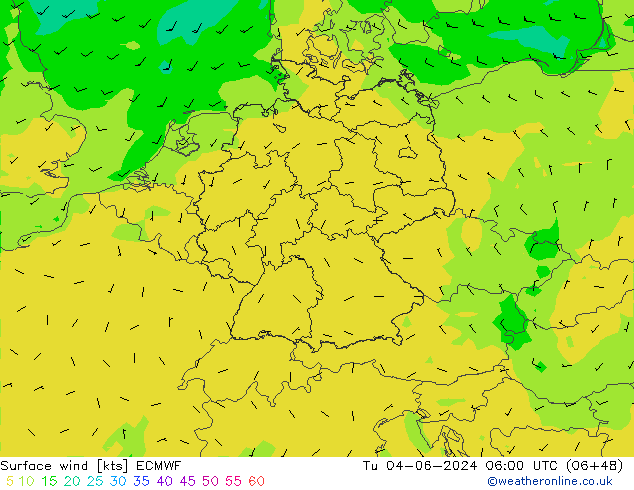 Wind 10 m ECMWF di 04.06.2024 06 UTC