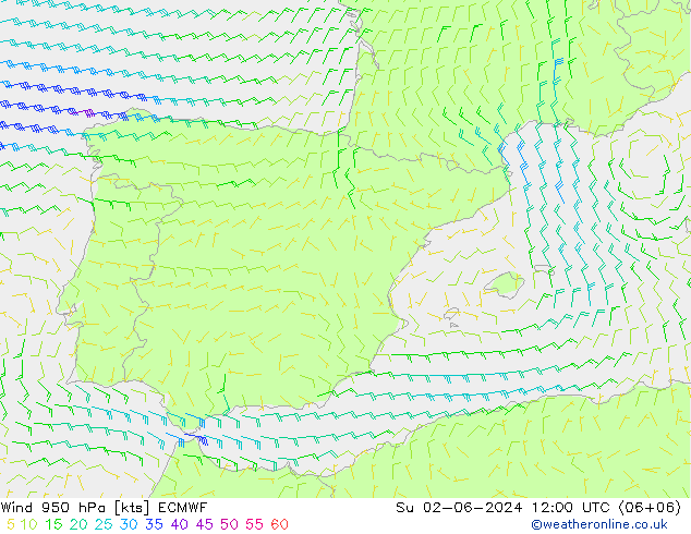  950 hPa ECMWF  02.06.2024 12 UTC