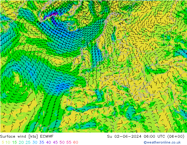 Vento 10 m ECMWF Dom 02.06.2024 06 UTC