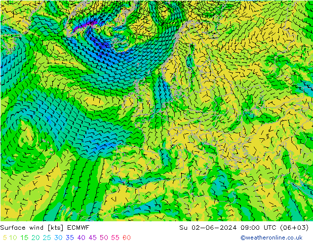  10 m ECMWF  02.06.2024 09 UTC