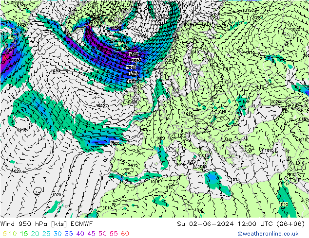 风 950 hPa ECMWF 星期日 02.06.2024 12 UTC