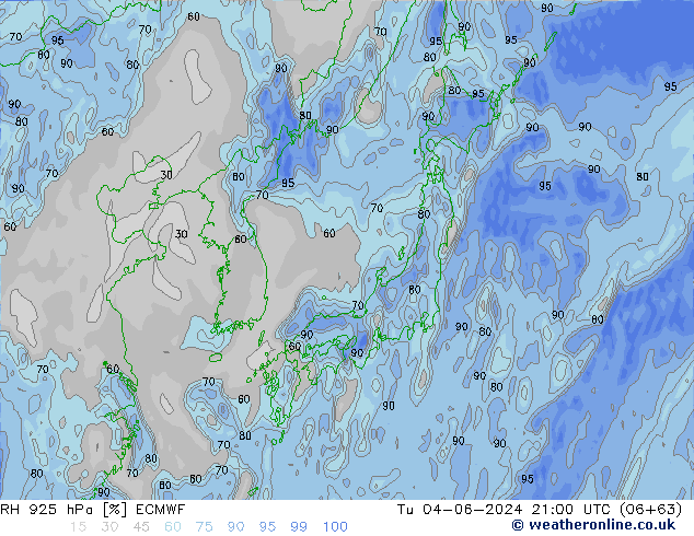 925 hPa Nispi Nem ECMWF Sa 04.06.2024 21 UTC