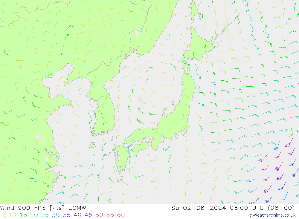 Wind 900 hPa ECMWF So 02.06.2024 06 UTC