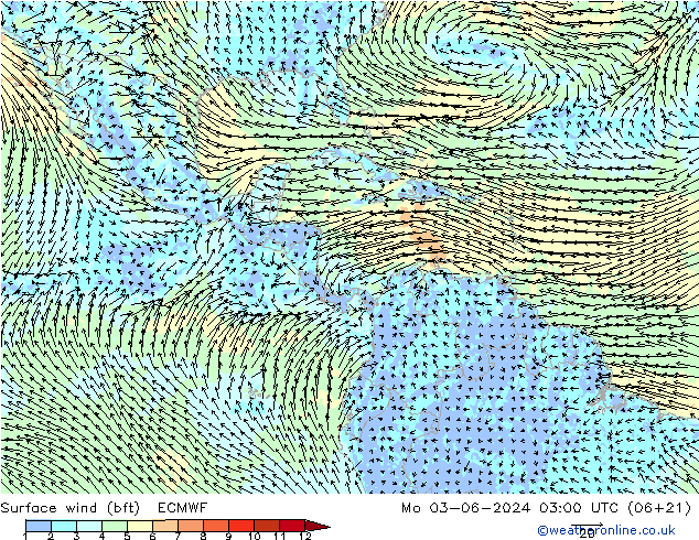 Rüzgar 10 m (bft) ECMWF Pzt 03.06.2024 03 UTC