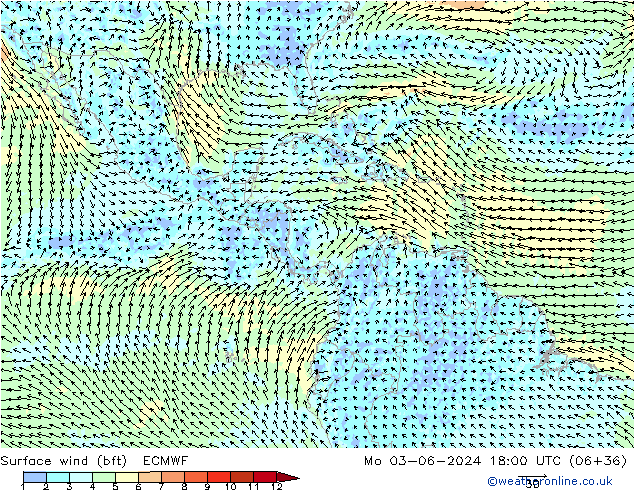Wind 10 m (bft) ECMWF ma 03.06.2024 18 UTC