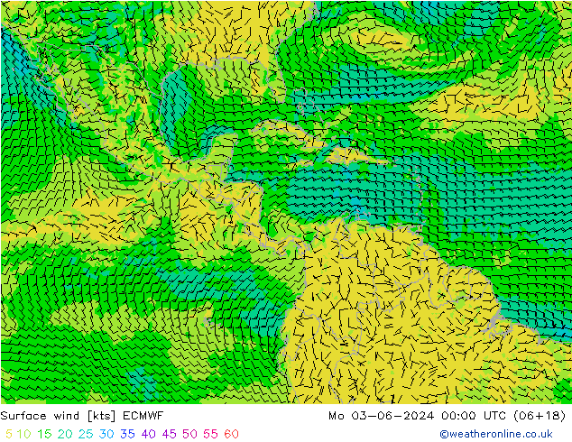 Viento 10 m ECMWF lun 03.06.2024 00 UTC