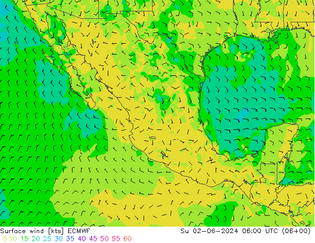 Viento 10 m ECMWF dom 02.06.2024 06 UTC