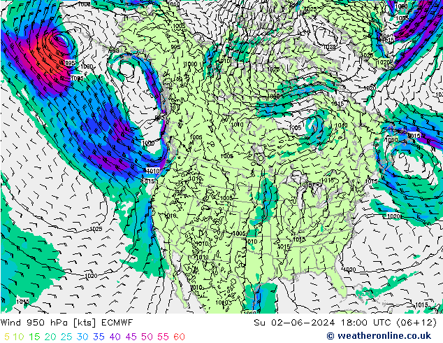 Rüzgar 950 hPa ECMWF Paz 02.06.2024 18 UTC