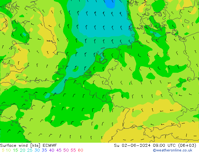  10 m ECMWF  02.06.2024 09 UTC